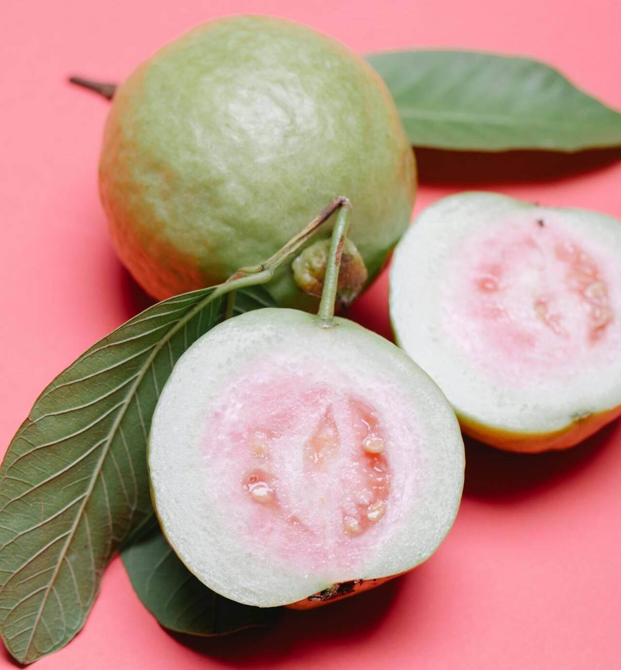 Guava - Winter